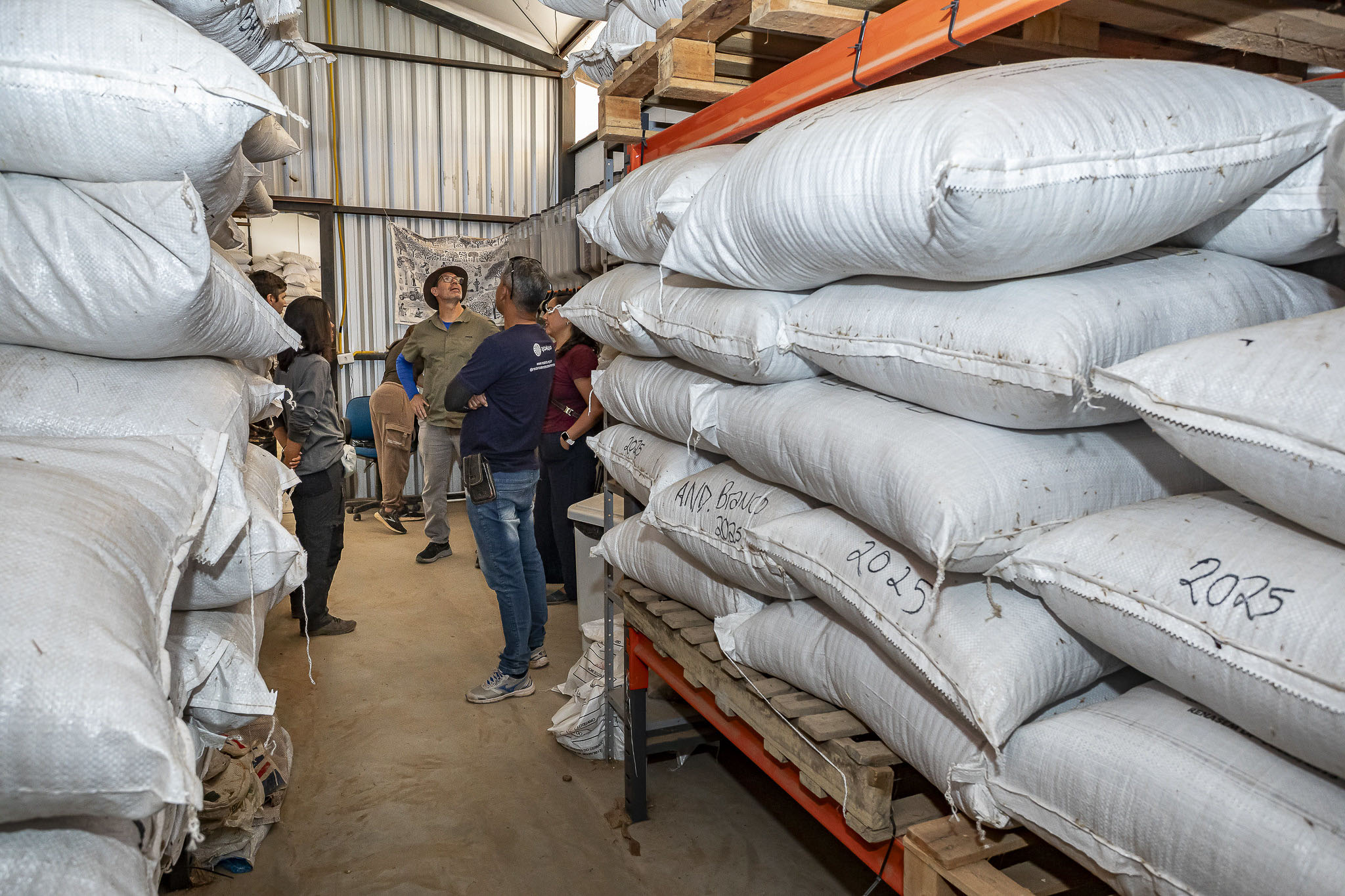 Imagem Restauração Ecológica PA4--38 da expedição de expedicoes/restauracao_25